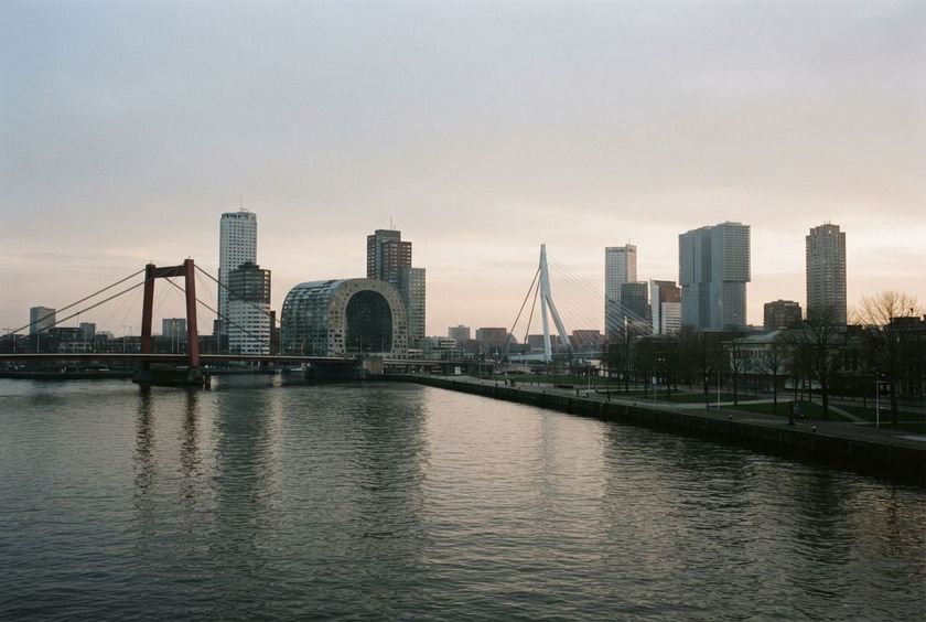 The Rotterdam skyline across the Maas at dawn, with the Erasmus Bridge.