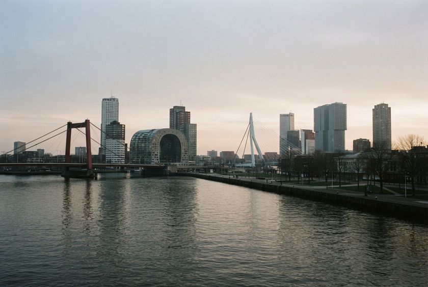 The Rotterdam skyline across the Maas at dawn, with the Erasmus Bridge.