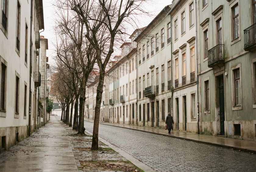A wet, tree-lined city street in winter, with a single person walking in the distance.